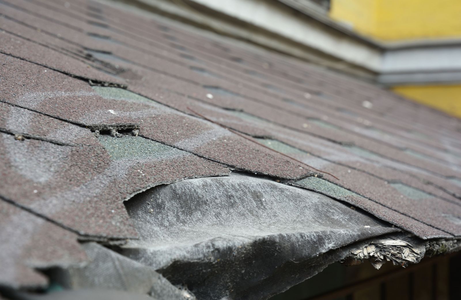 Edgeline Roofing Images
