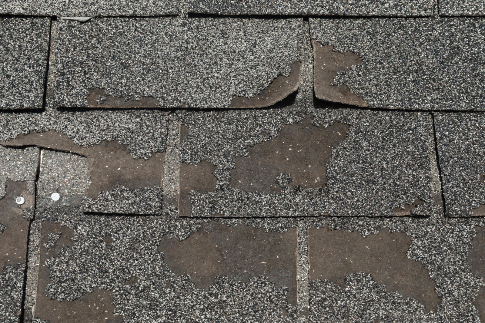 Edgeline Roofing Images